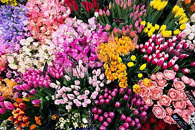 《消逝的光芒：困兽》TGA中配预告 男爵登场