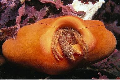 小岛秀夫观看经典电影《英雄本色》 曾想制作周润发为主角的游戏